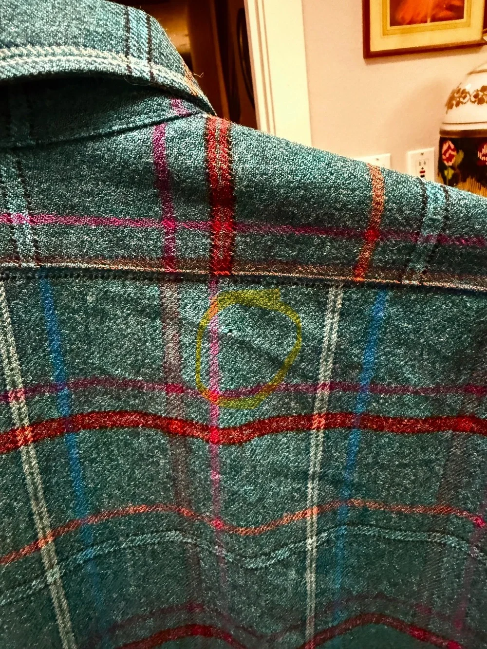 Pendleton - Picture 6 of 7